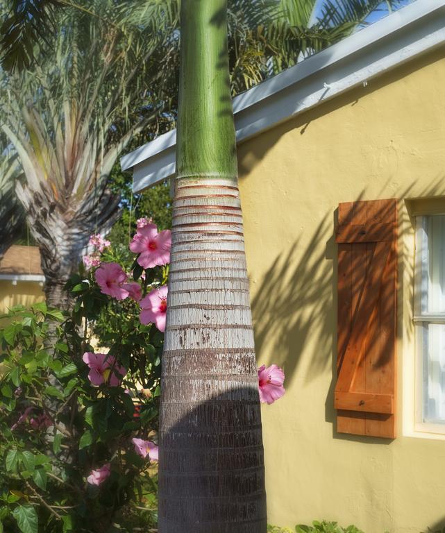 Hotel Atlantic Hideaway Delray Beach Esterno foto