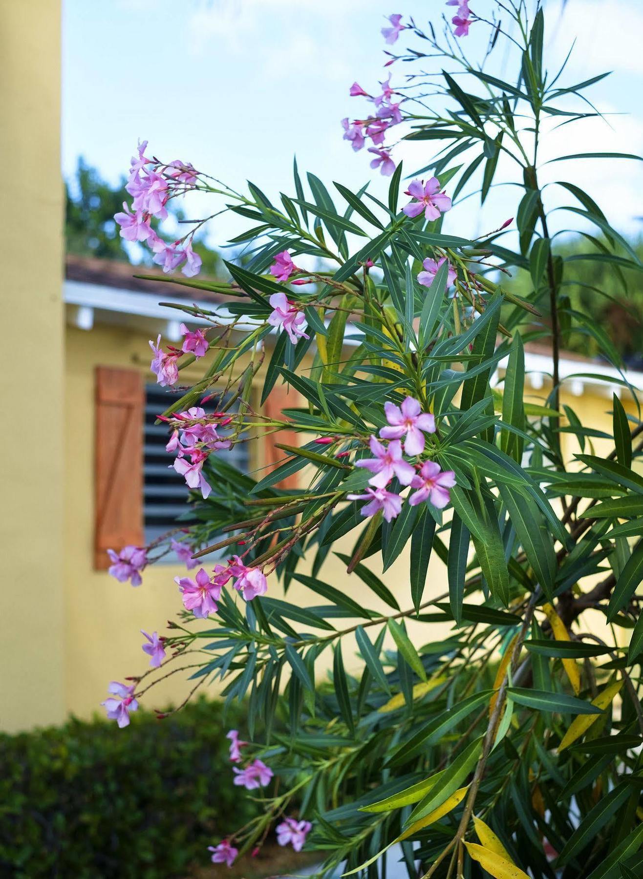 Hotel Atlantic Hideaway Delray Beach Esterno foto