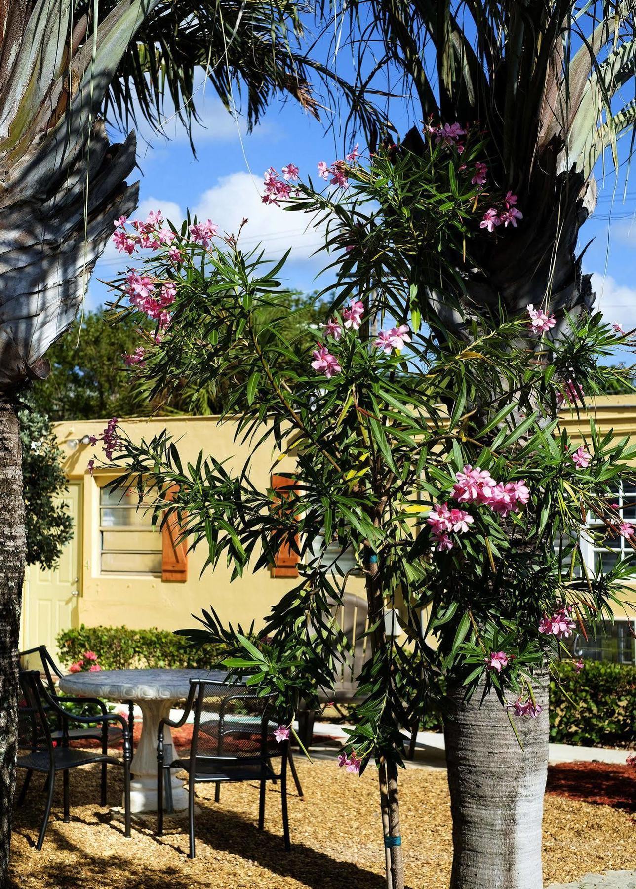 Hotel Atlantic Hideaway Delray Beach Esterno foto